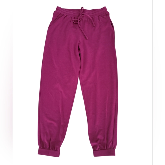Eileen Fisher Pants - Eileen Fisher Women's Cozy Brushed Terry Hug Jogger Pant XS NWT